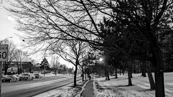 Simple Divorce Brampton